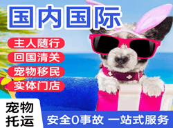 滨海航空托运国际宠物托运 【国